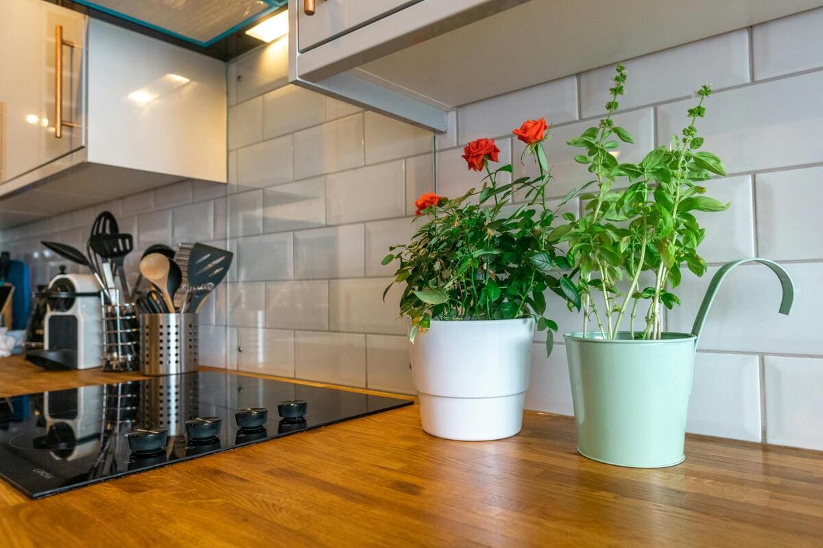 Como fazer horta em apartamento pequeno - Casa e Jardinagem www.casaejardim.com.br