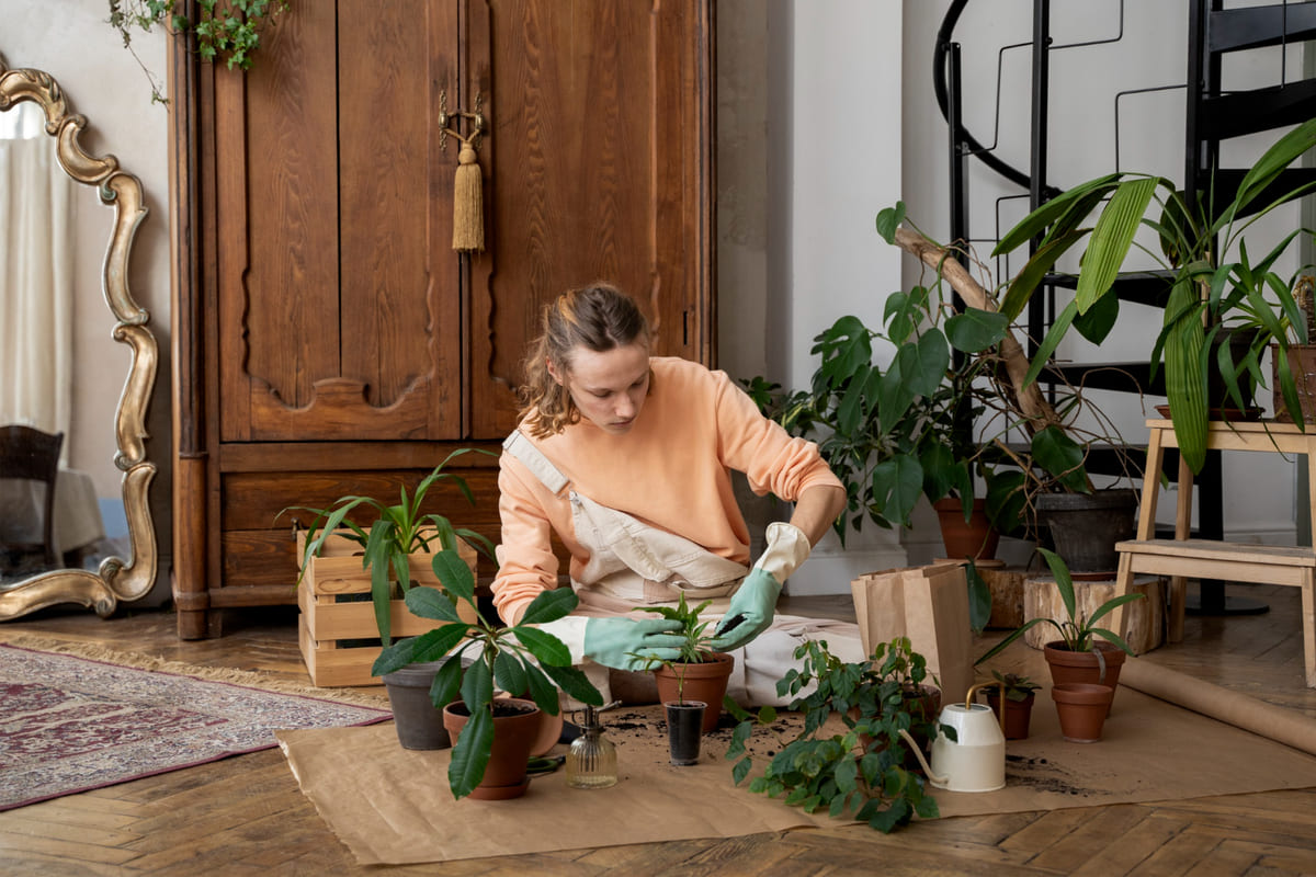 Design Biofílico: Trazer a Natureza para o Interior - Casa e Jardinagem