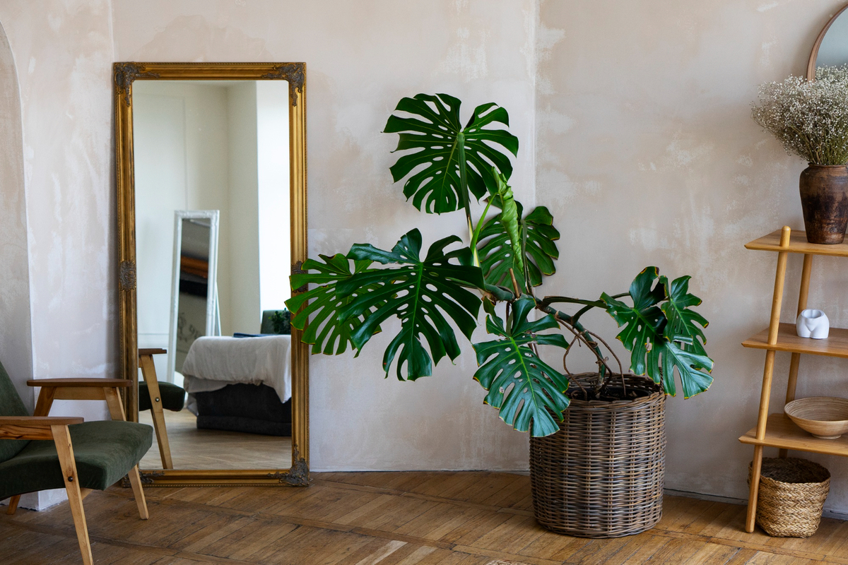 Como usar espelhos na decoração para ampliar ambientes - Casa e Jardinagem
